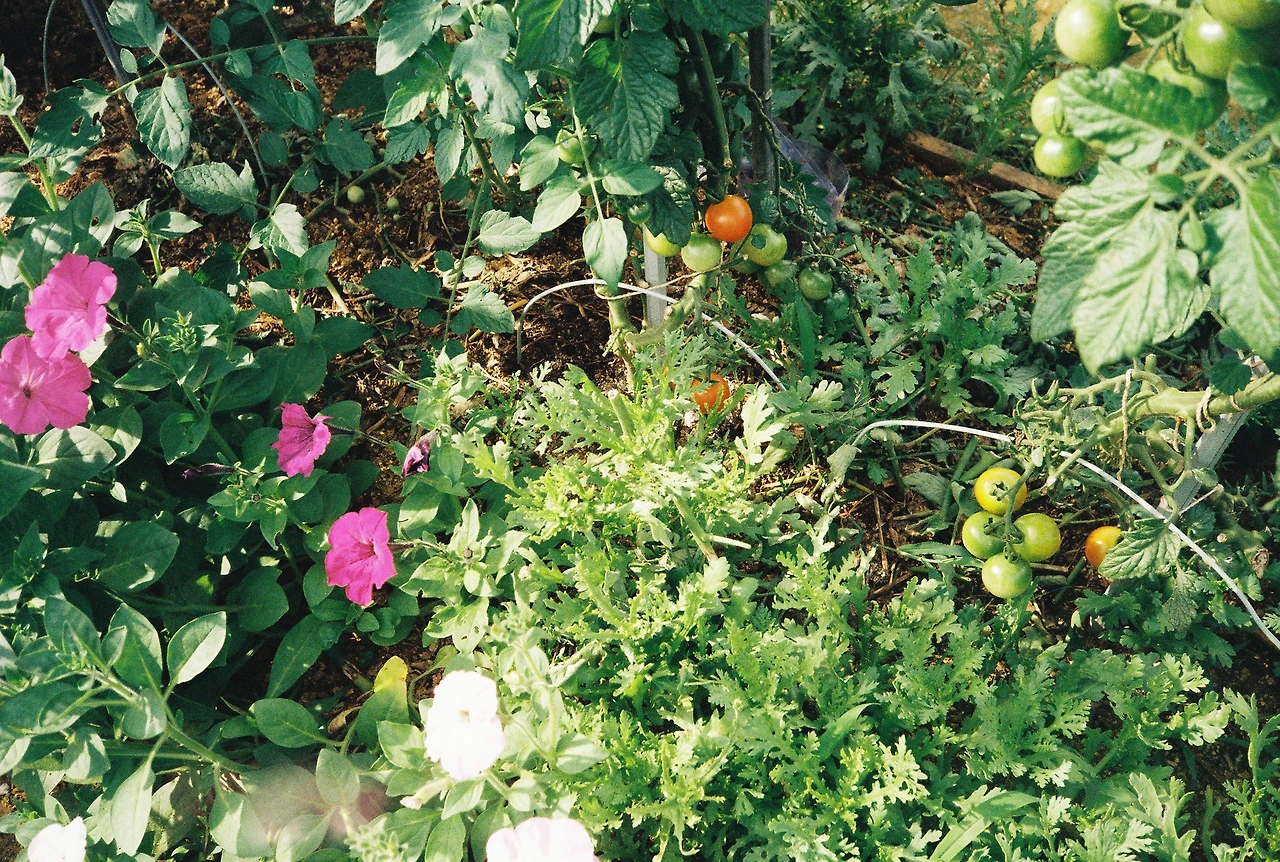 ~ 7월 22일 (20).JPG