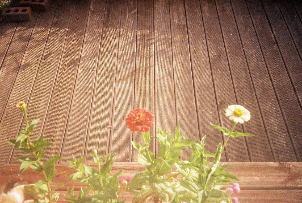 ~10월 22일 코닥 200 (30).JPG