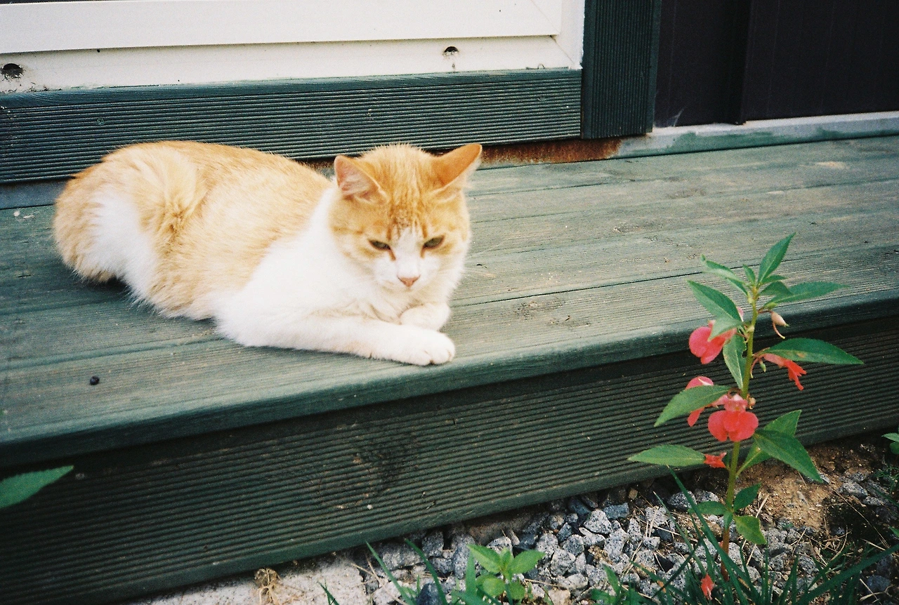 ~ 6월 22일 (4).JPG