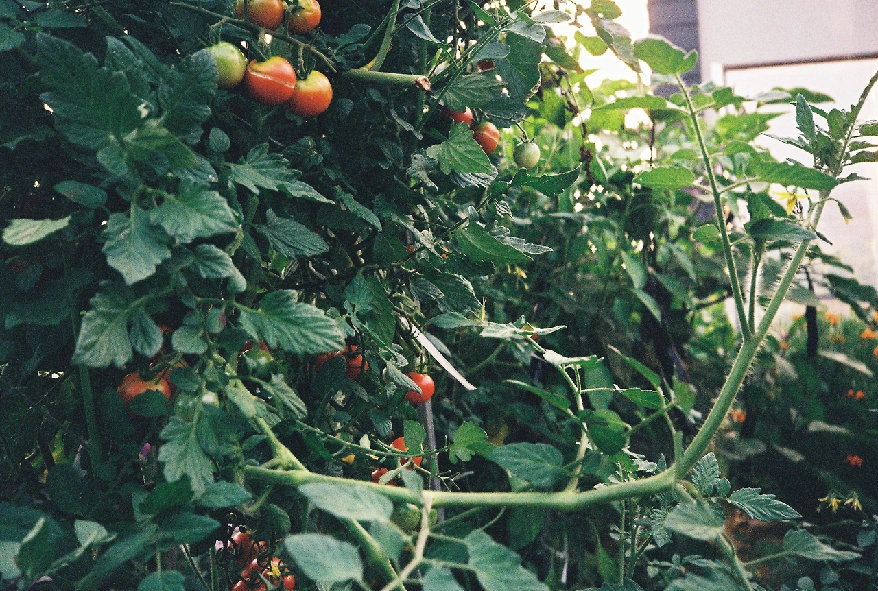 ~ 8월 20일 (7).JPG