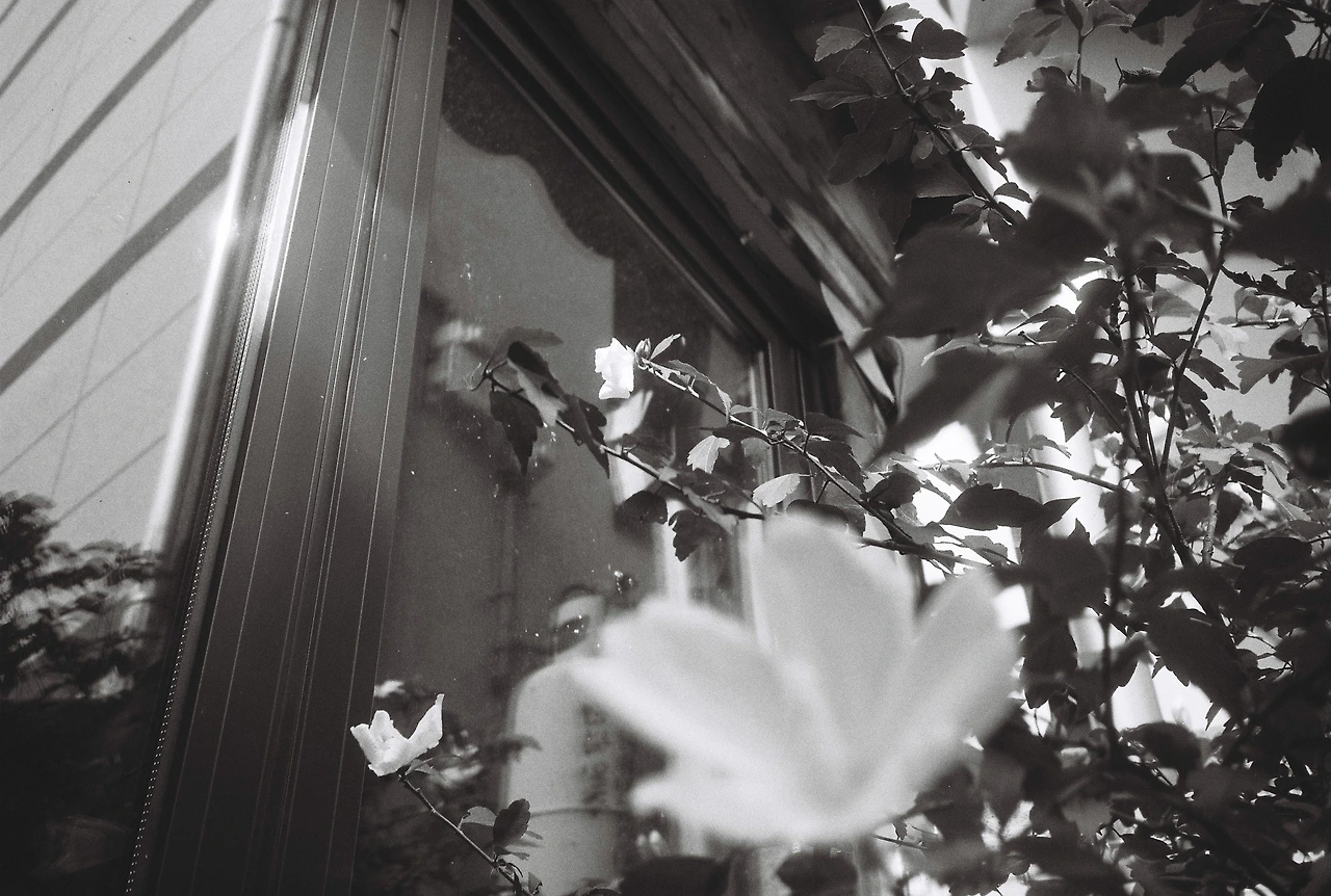 ~9월 17일 캔트미어 100 (10).JPG