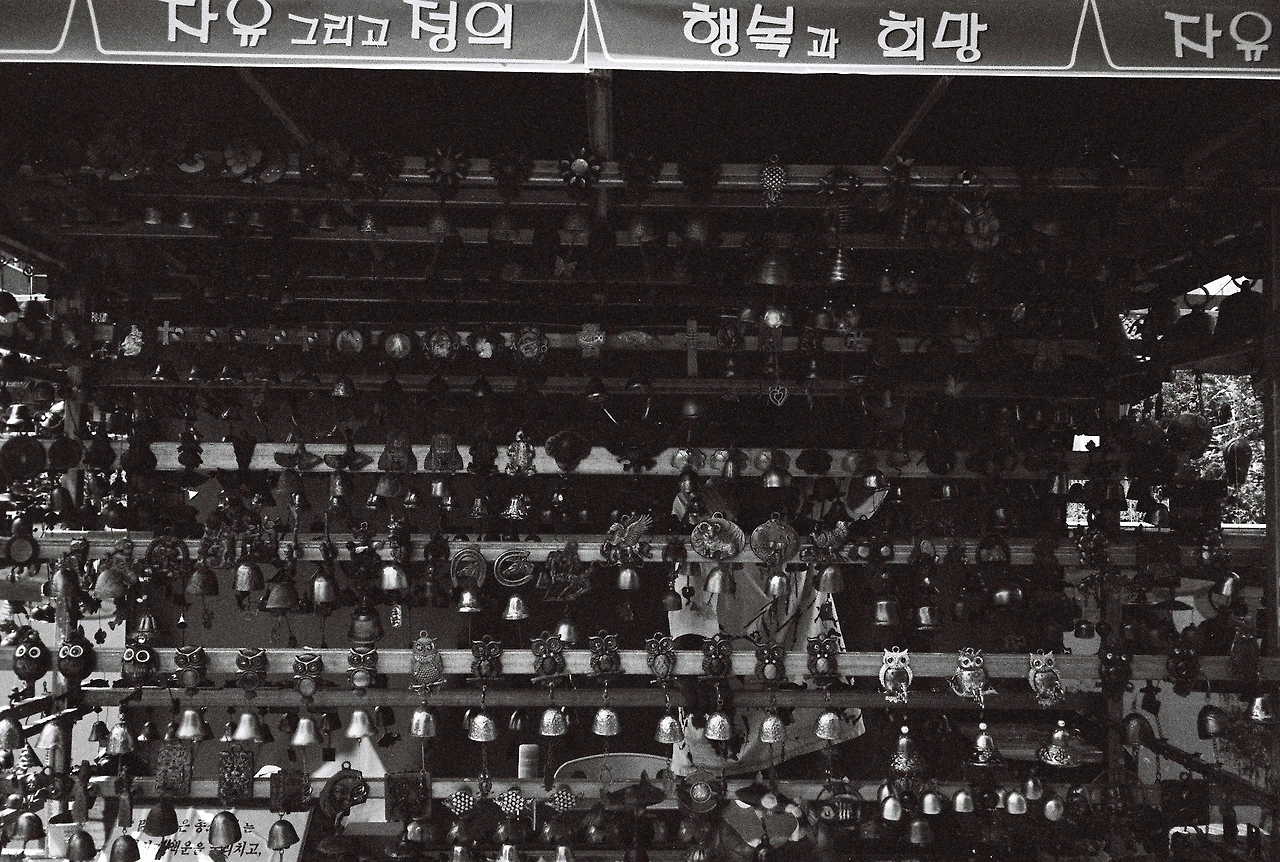 ~9월 10일 코닥 프로이미지 400 (1).JPG