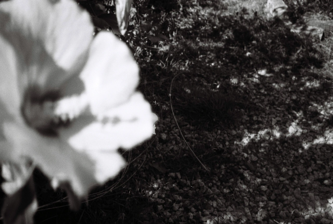 ~9월 17일 캔트미어 100 (29).JPG