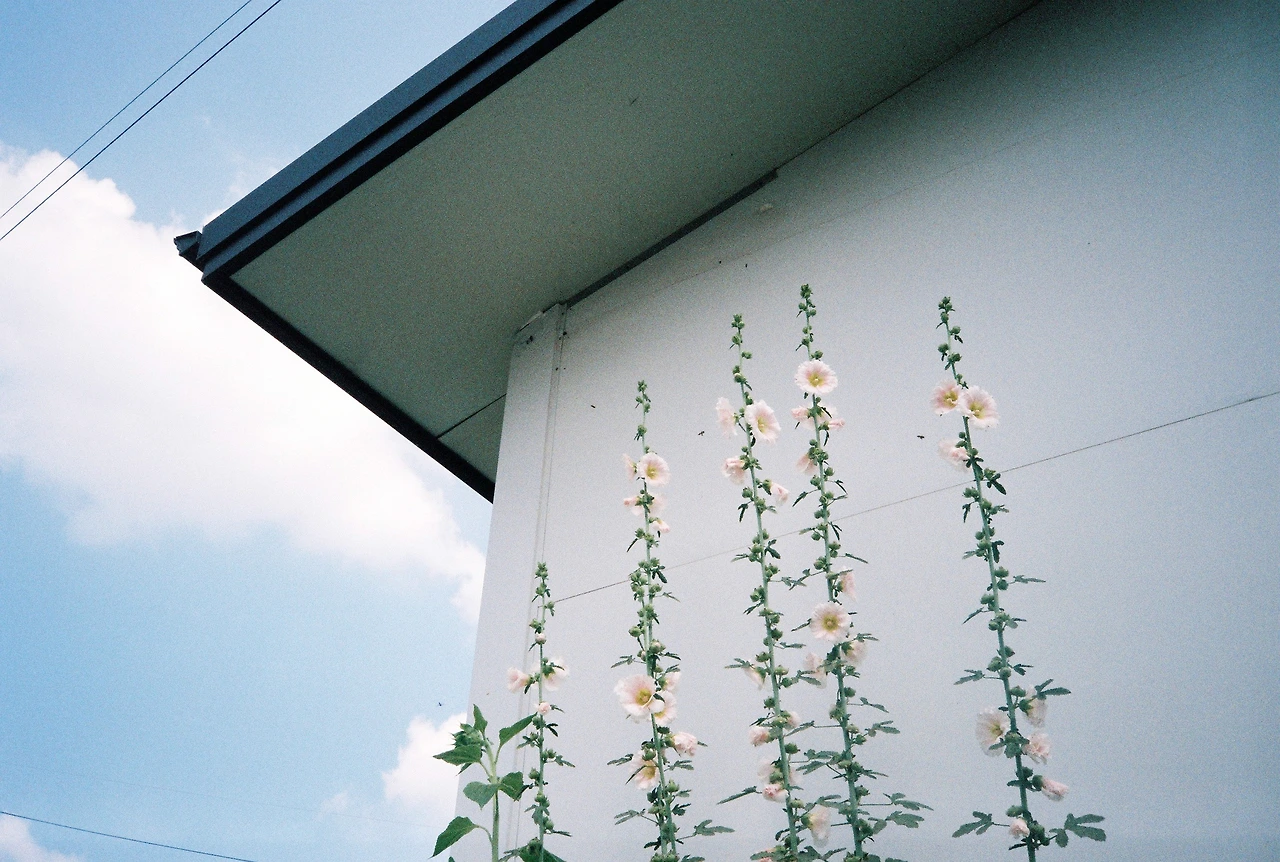 ~ 7월 6일 쯤 (6).JPG