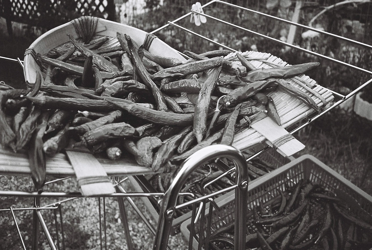 ~9월 10일 코닥 프로이미지 400 (20).JPG