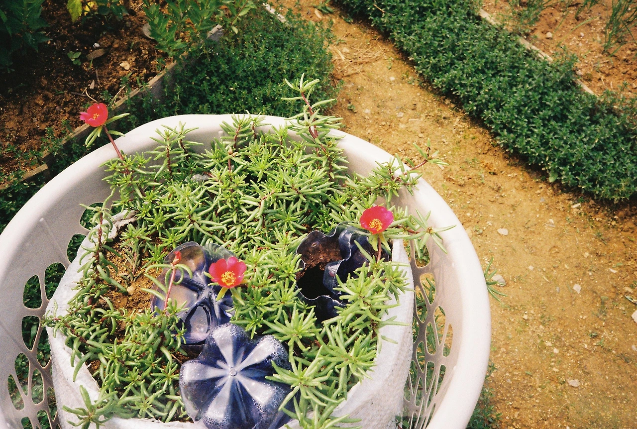 ~ 6월 22일 (8).JPG