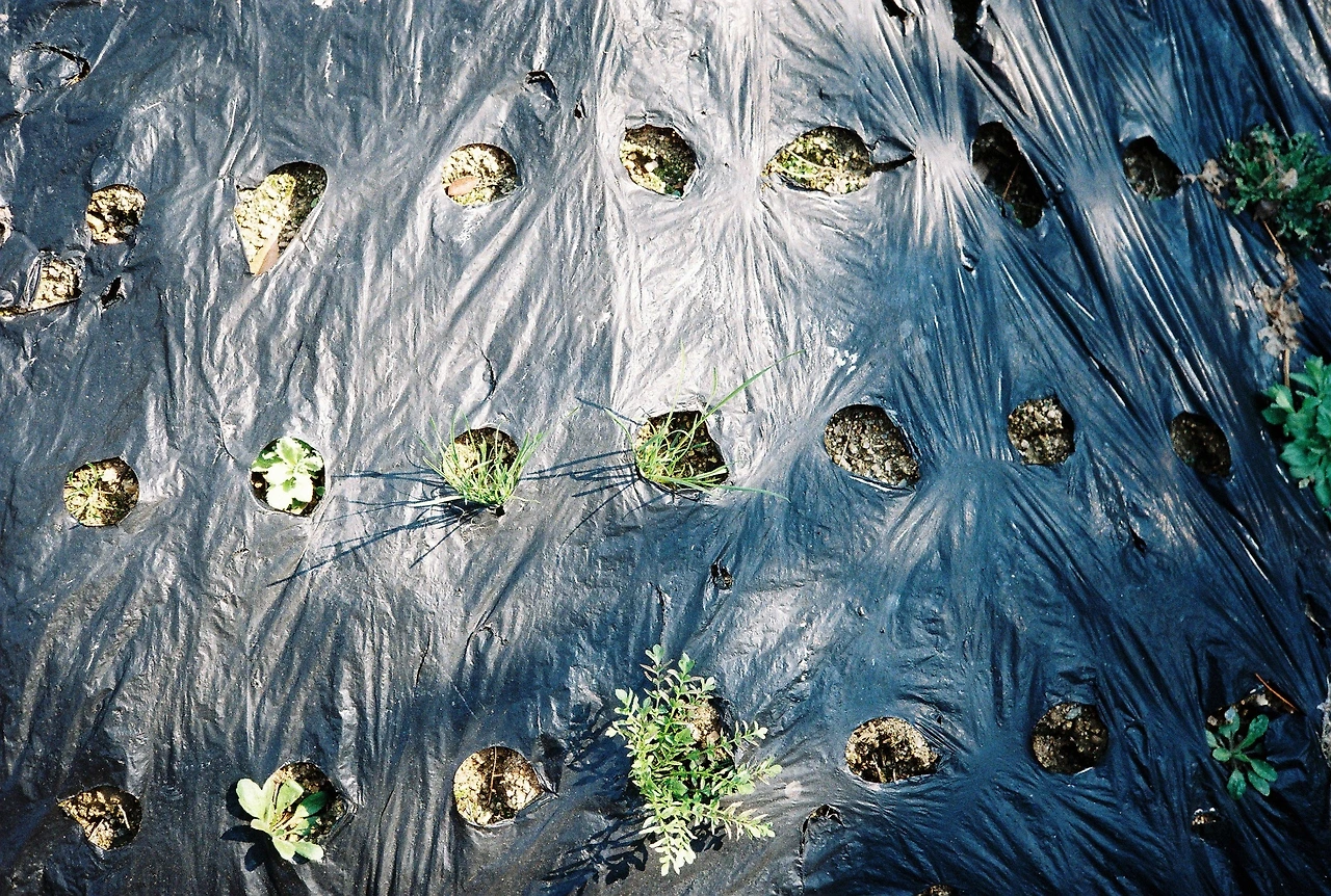 ~ 4월 7일 쯤 프로이미지100 (11).JPG