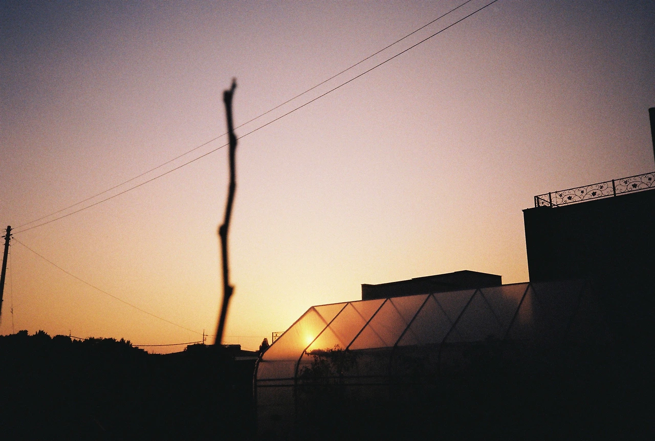 ~10월 22일 코닥 200 (9).JPG