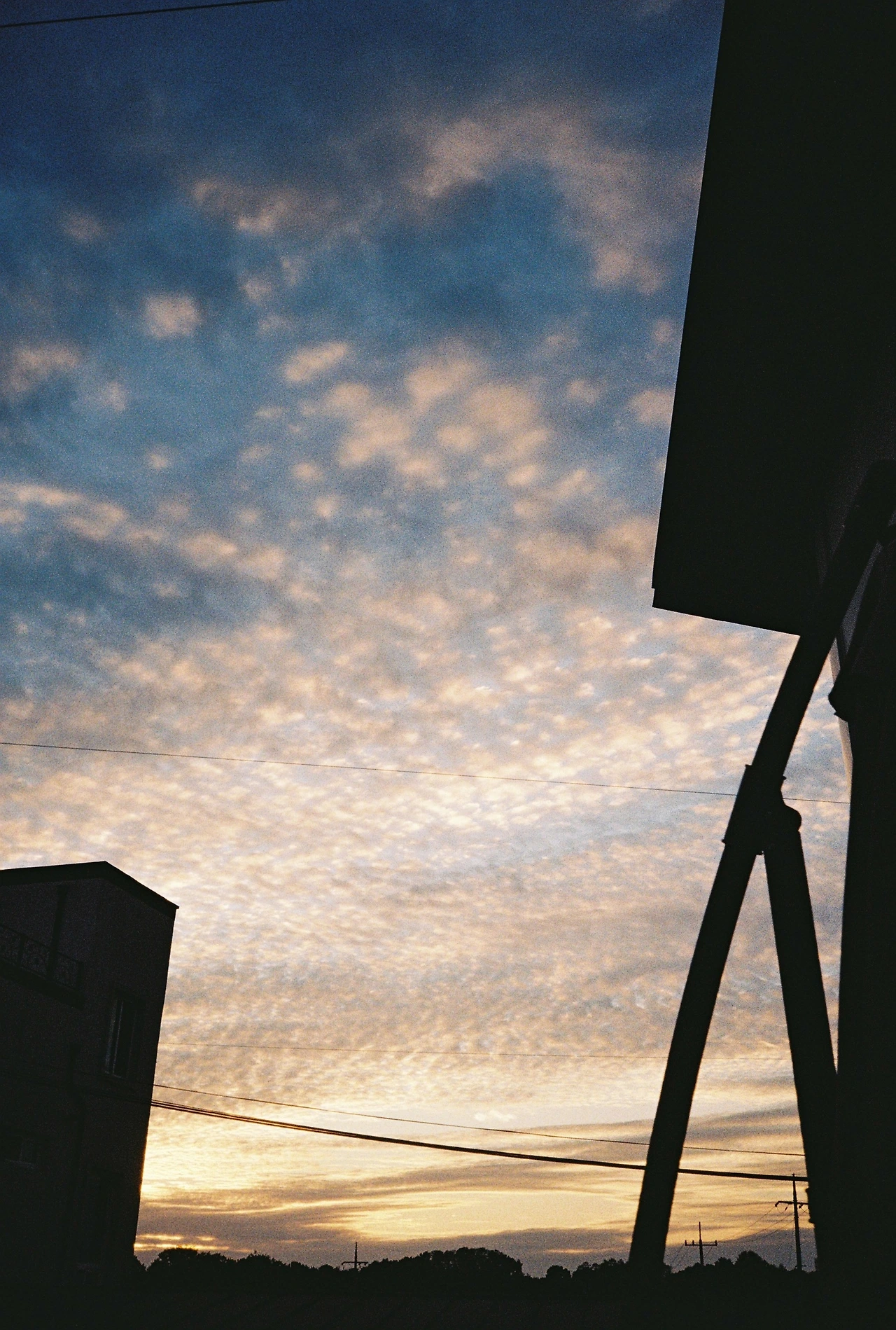 ~10월 8일 코닥 200 (31).JPG