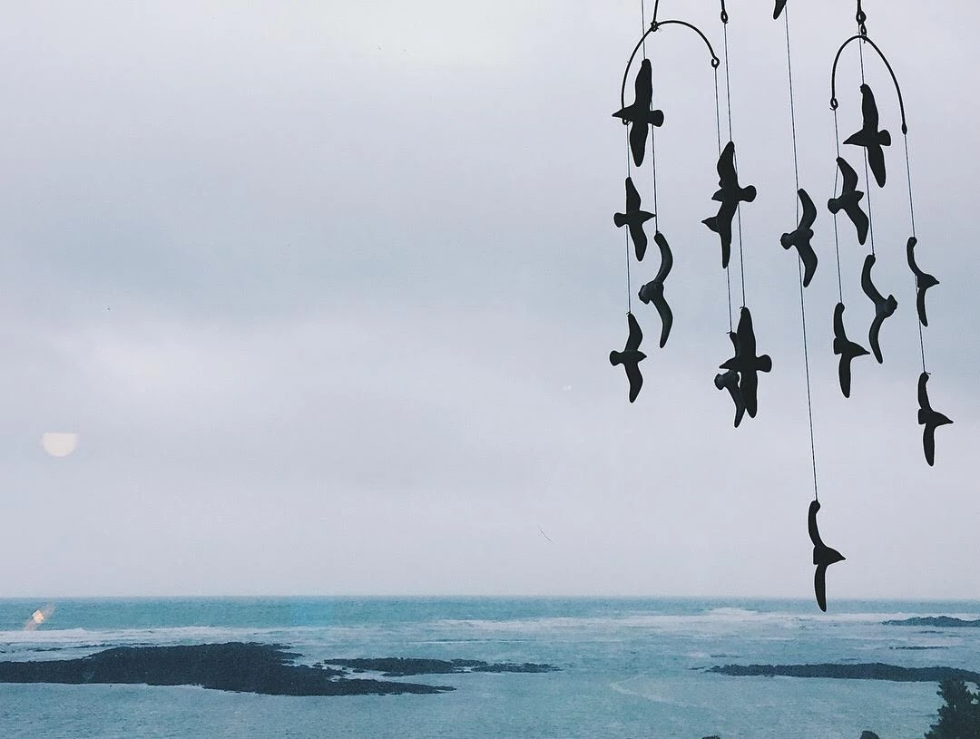 5월의 바다 (1).JPG