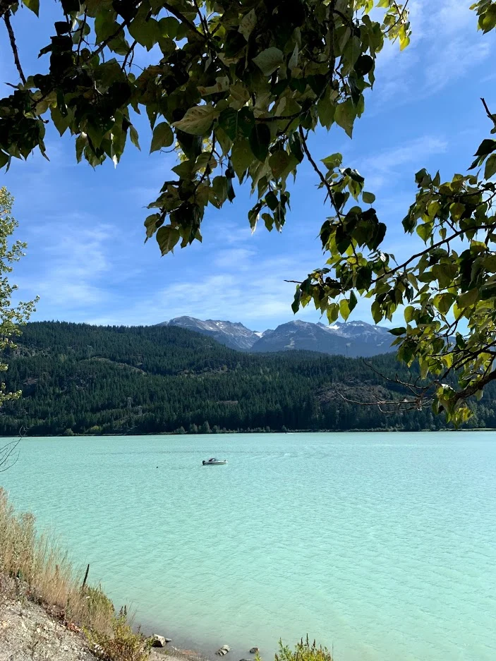 oA9WCoCCHXkvw1jVlHmeoSQlcmO0wxjW5Tn8saC_nl2WXGYATG5qZukCAwJRd0eT9S4llo3bwBBXmOEHlle9HHcbjCPp-Hof7hxE5kIH55RIUJTGuByjMKr4Lc1t_R5xVAeHhDr1EE6Bxyu39b6aBCHWhZwfKyCctp4hpMkTif8heobWQXTHnRgxpbFKSjMpWHohyjuBv7xKk4asxHvrsoWdWmTSCI5SP_qoGHT9ZjAFgTb2EMk2w3SvbmEwIRtVHaBWPlW9MGQs1mJ-aplOpYplDWLQMg6_iG81uZdT0nuIgI3iNaLmg2smtZdxfWqIcxXs9zDWCnfBzfNc7h0MS3l83qVF-dMTQQvCW8i5elkURSzB-wVx40J_Qi5C15ghS0NM-qqcSjnLKU4fNzxqXdm_5BoDZ6vALMhBq0bDsmdHENVvUIWtMv5UFiRwcFksg9jBz40jTekWsRJ-NgS2rh6WyTbl88aTU1mBey91IcB9cjViLnLseXNACiFLgq78L3vVN9XlpdtfKGe8u28ABVBSe7l2ayiyCL8FKQPWjNGLKBXMSz6WnvQ-HE2u2-1lVndLe2k9_OVZSUtUSVY_-Du2oI69Dy_Wy9VEdw4PhITlCS8ZXZKKMeT5OmmXqrGl87Qg03Tu7cSHb2ANbXRINr6KgBjBBeQv2JZVFoFuPIxDSMJTkCTOIXlWckDcGIM=w703-h937-no?authuser=0