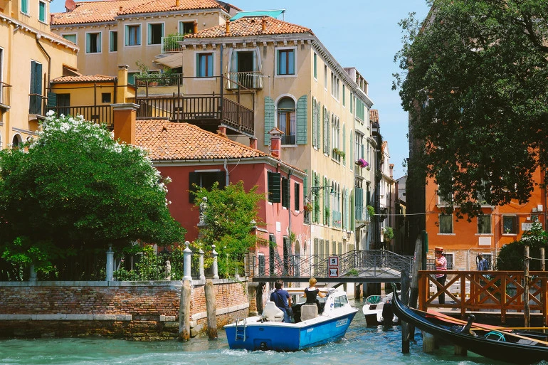 2770C84655CD6BA1246C13