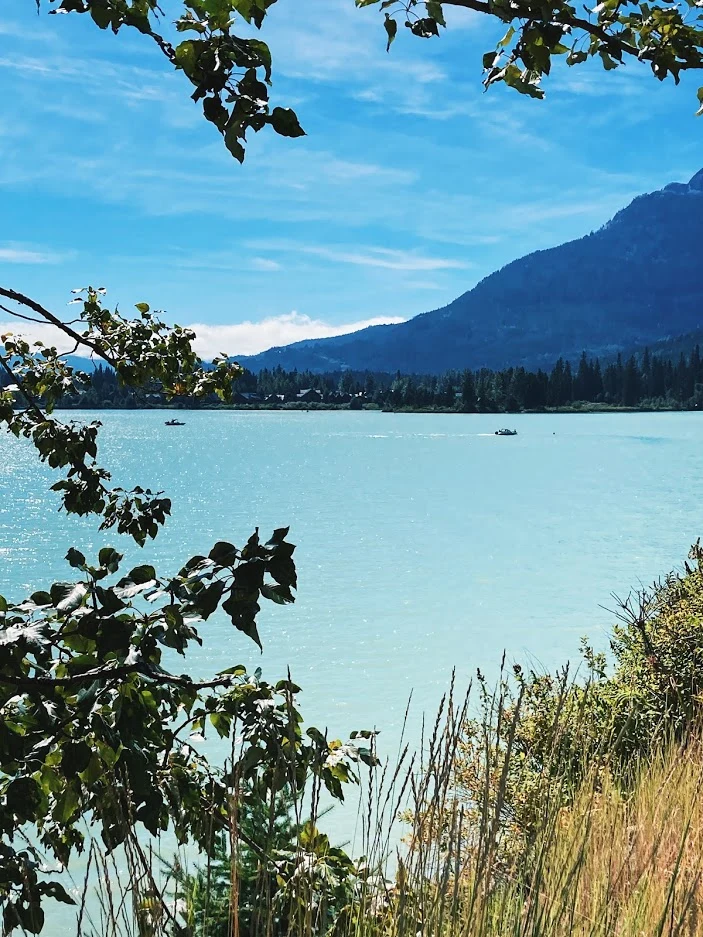 gkeJXjkyxuOZvdeJwbkEvFp0A5sk-0MegjRJFWwDOlwe6SGEPz5pwg8fuNksCn4GTDs5DXpoLyaKkaGYksRkhkhE8HRoxFVz_hIpf7V7FbU4UoPIjqM0wAtEVP108YCFgGN_89-2ocoXlXxIzZBBtdO852-6_SkY68G1CYjx2pSZX_UTNq0Z9-qRYbMImEAxBvfdtTVckvQcubIsgeNtgXkBcQVGp8G1p955vlyjWlgG3m32DW6a53FyuvVy3r2Fud8nc3JKduSjC4NSoU0mVxQfCWGm8dj3AB3uNW3mwRlnqcv2rGmPYMXQ5F1eqrYvJvb3HrzDUdGLlM5sQY0EwaRhwLX-ltN1sjs1FS9UPQsSWzk79Dihf9rjmD0FEdgX1HT4rNX7XXz1rxI91lHHOmtPAjF5BKNvyIssTQWYfupHH3f5KjPD9kQMK8F7SUYmyiQytfoO-1zSBT1s7vCED2RwsNO459JB_sOnMKBvWABznlFR7NbSlMCxrAcV5W6k7vai4bKxFzetAKYjTLRPa_IZR6sWhH1Z6wyl4LSt-Jt0zs4NClsGkhV6JAUepKtG88tl8hzd8gabid4DSceSkawUyulo1Oy2-Kh57BPuoP-Ri5gO1HD9f89HnqrLgdyCtIi8BspTXRbJipYnbxqX3tCylwbTI1gAcagQCnfyavP8yivg_-ucIaGzhYFRBG4=w703-h937-no?authuser=0