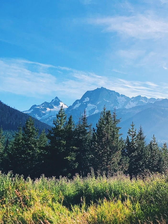 xTB7xZLsJQx9QutDocmzaikwBCESFDPXzY_0ZPRSE8D4DddPpEwn1h0HrJ-vu2Yvseng8ZolIuWWpgqg8vL-5F97UtQaIa6KZOWcNCHVmgZiLu1xju69yVMif0Iwfw34FDDlbktX9u2A0NskBHiXJJAWc72X6vkPQ4q5etf3XjP3Ur5y0w4Qdyf2zSrFl5FDytyvxFMPfgERJDj53gQRp4NBnRf2q_YXq1ra103h7Wrd5bnrANfyTDshODanVo0ON_fcwfI0k2HSyhuixVcP8arflSd8zgiKOXo2vnUXpznJgQwABoj6IcSb81InjoUKus3_XFCEJ0YWuMNgNAaDHCKSB_hlpIMvzza0brQX35BZgU5simSo-P6mSm5N8oBeq0dpd341PzA3dErHZq3G6jr1yaqw4P7Pvyj142N9qXIN3LEueyE7_onCpLoDsC2_EDufb7Zm1XgI7WRWOVs2z10o-pQyIF_FWDzoTe1HUc80rSMQLgcwb61OUfNsh1xBig6vAw56S4Hh2a9npfWXu0aeoN03vpzvz0edHCdPXNuwTalX1YiA1QZaNk3_ZrMpWZCy31o6XAqPrmG-yTu6c7DUk7wVMZERPPtUPHj_oThh5ZMENs6w7wvrmQMlKQXzAAPtFnUbhPiFNfJOIpxENv3CveXsF34WUvjnD7dBw7tXLSebwvUry0Qggq-KLfw=w702-h937-no?authuser=0