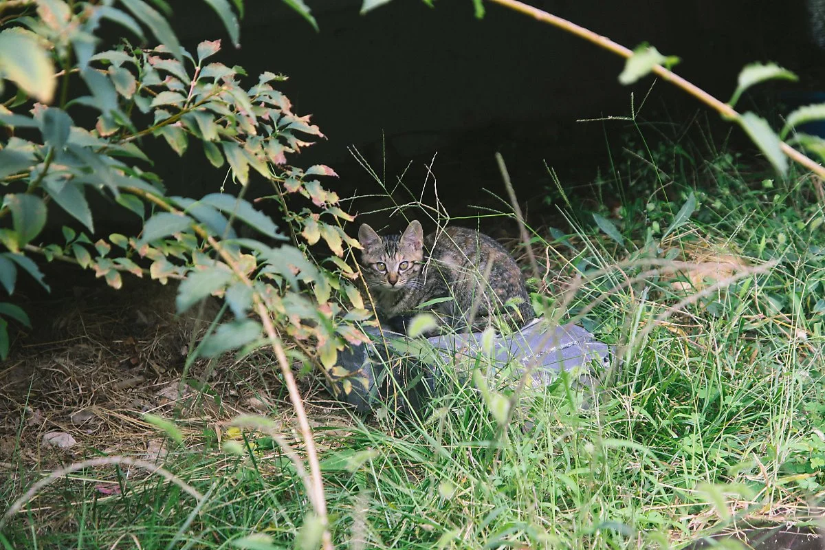 IMG_9761-17.jpg?type=w1200