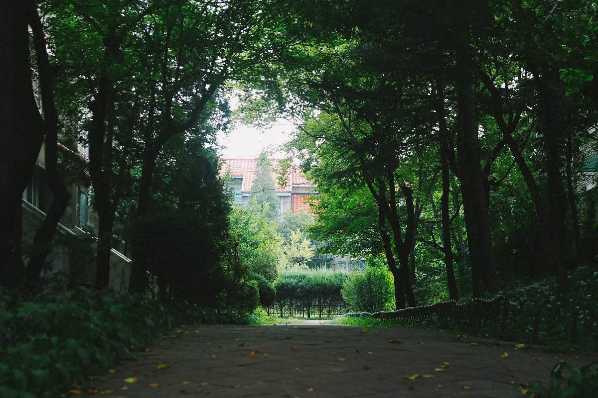 IMG_9729-7.jpg?type=w1200