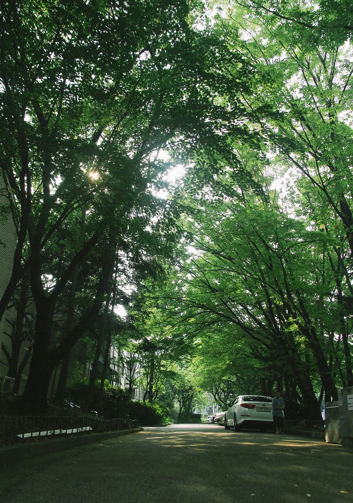 IMG_9725-5.jpg?type=w1200