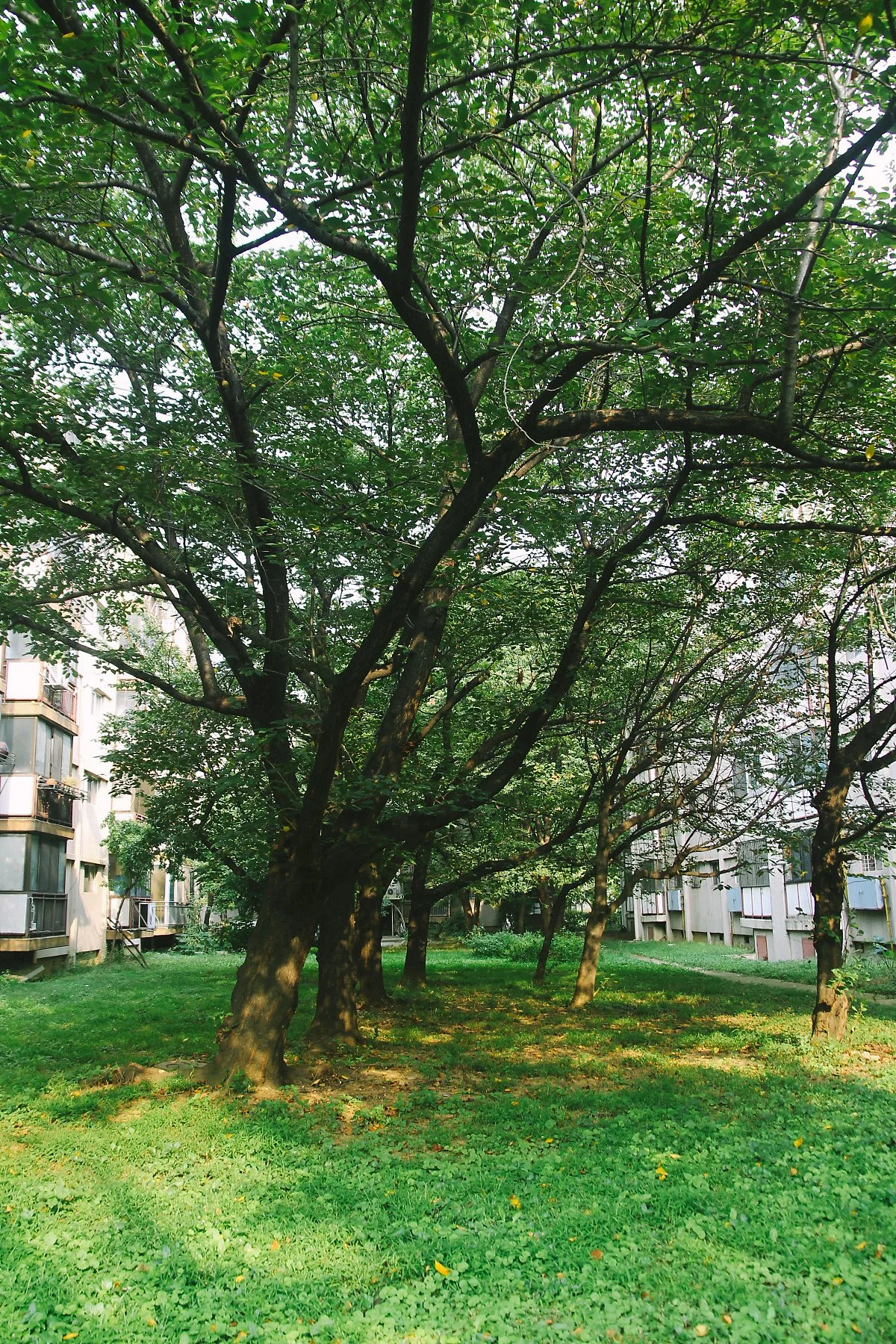 IMG_9771-22.jpg?type=w1200