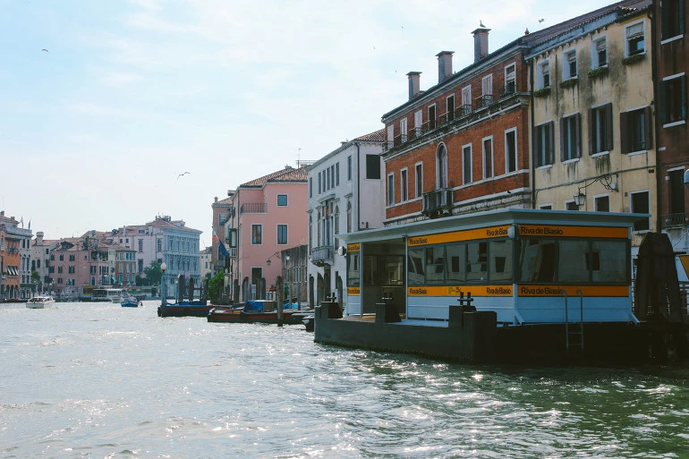 2471834655CD6B99298C14