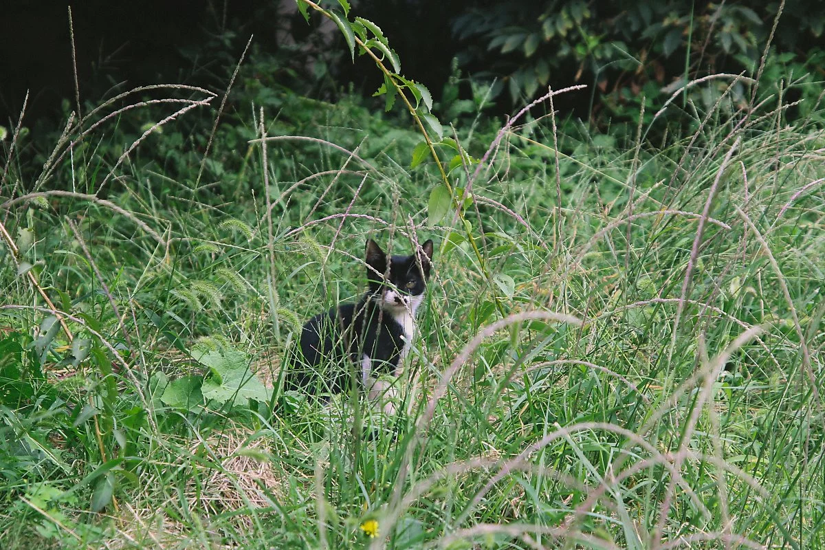 IMG_9754-15.jpg?type=w1200