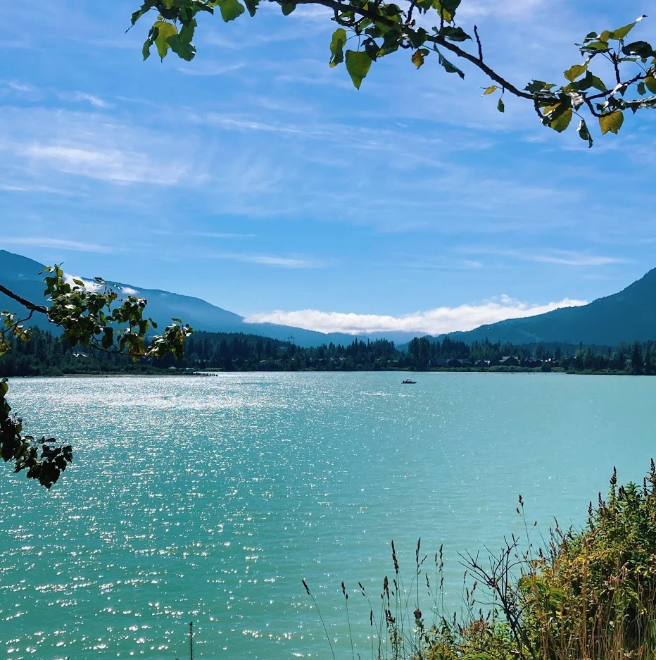 UtQ84i5n0XKKsvreuwQOFtS46qQaMgXfjICyVJxNE-WPX9AreZJQmpHwu4HCsnajqYQu792MraMvRLgzM-PP0suYU1l2VuzjUGmsHvwjc9g3yz9jzhLIRbEzjcb0-IV0vXZ-YsMzCvo3kmbcBiG4uFEROx19d6nS8QOeFPc4qdyt5qSbQAuHIgsWx8P_Jiu42Dht9FgAcS1-mrTHQpXHxeq7zzf1CgdS-Jt0PKMFnQLkJSio3qRWGxo5YLK36af83BZrMh60Xi9TGUnqjz_6VjIIhb3n2EI07GsmFqp1cCs3wF8cKKvdsDE_1cTkmBb4N-4TzmYwMyCrkI7rSUrfwXklaEkzkv1qw1uCC7gv0HVAwJkH1YQ1Wzmh1Bxfp-Bqx2Gj3ZFAvteXYlvLARb5qd-RIeH1xnrOuCrcoyp4uJ5X4XWVRtyUHqnA-JAlM2utYvA5ngmIqUnWisIZDAPhZEVz6jKoyOlzV3Ay3lflu0GyYeRfdhSITncnwuviZnygyoHaMsLwlDgydiMhd_Ya8j_ajCLqvfr6Gt-d7OBxTtSEXFXzzkR8ObjR8oDOu8DvRugSXjYdeU720is8GqpcfxtRzxFQorsXeWZ40h45QYlLU3dgjg34ANHyJV0Iu-OUfNpIctEMaOG7s7_uw1VIaHtGlzHmRSCHtSIAAgpGkjs_9cwiHASaAohSedZiIHA=w933-h937-no?authuser=0