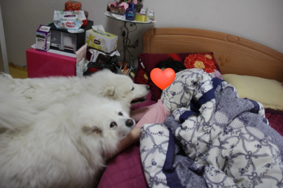 SE-1a3db90a-7fe0-4766-bb05-345cf289e741.jpg?type=w1