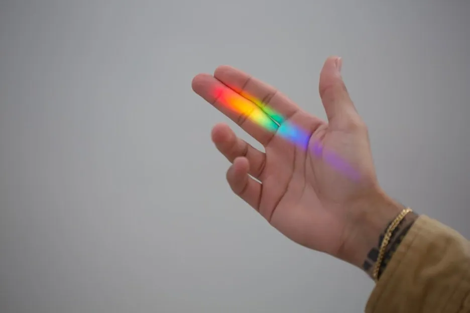 photo-1597858949210-e255261302fc.jpg?type=w1