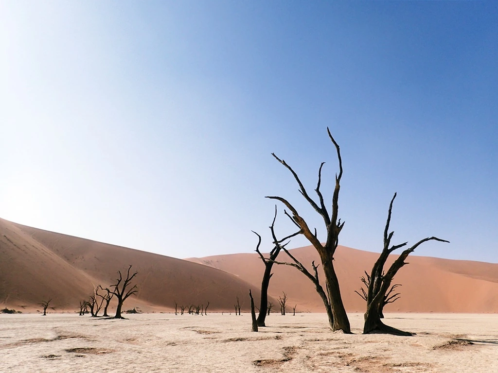 dead_vlei.JPG