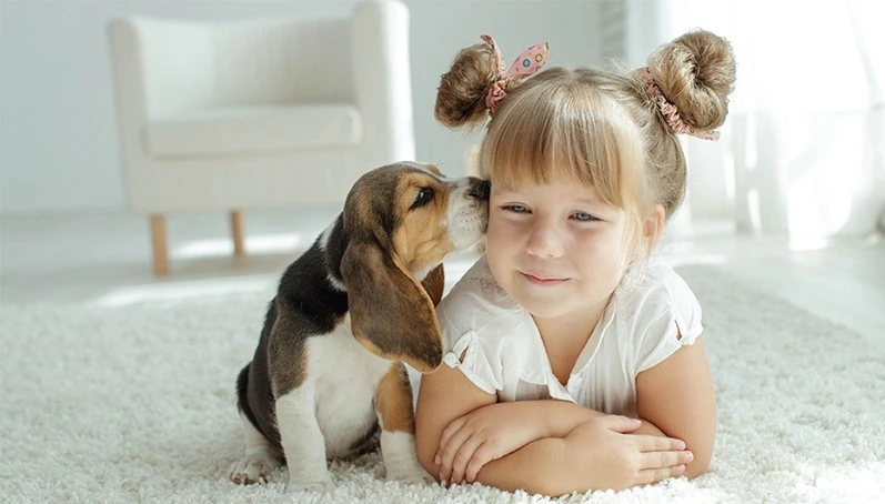 7. 오크우드 프리미어 코엑스 센터_2022 멍캉스 패키지.JPG