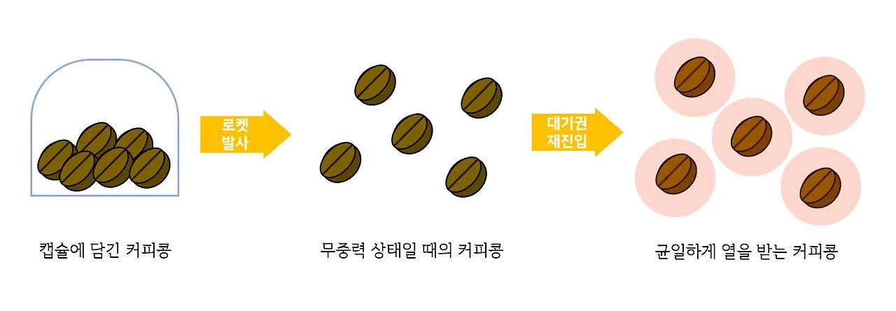 커피콩 그림.JPG