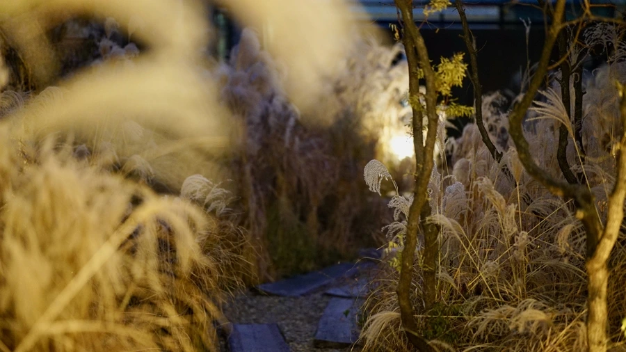 안전가옥_송년파티 - 217.jpeg