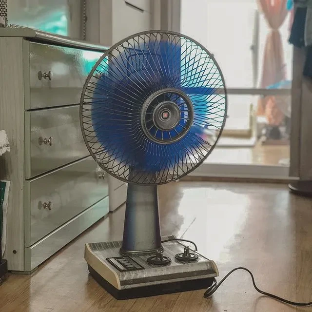 167de352994cfa.jpg?scale=width:740