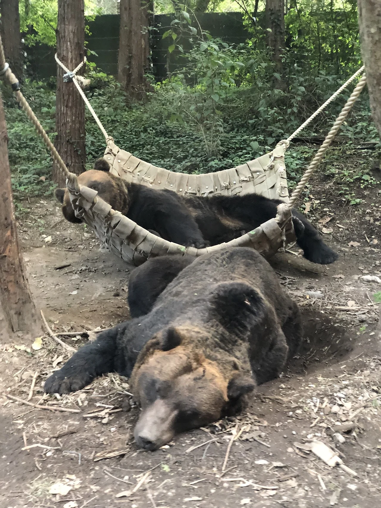 ui7xeAFs-Piy0E7q2zAbH1XggOBuIfUpgWPIp3uWViwMQxk9-j8vvyFp4Sk4XduPUdOihXExftItJTW3rBiNhpDW3ZKWx5pFmYtCA5QXjpamDxHjkLiGBvsjqHDLro84d-qzq7YjP0Tl82caGYGqEFaAkG9HW2Ujnab9KK2_cgwQBfxf-RhUxyob5MtkEyk5JeUl29QtDpD1bFVRGYJp2NHCe8MdgxZhPp6D9NmM1BBWf2COAhUn2gW_tYtX8C0Dx0rL7vyIBgGNP-MTGaghoBFYs6DRXBtUv2P0Yzd9tiDdpTiGzcpFF4JO7atxYJhaeMcK0dFgfyOCzuZyjvGwa12IB-v7wImCWvTTB0Oky6mRwnwff_knpICH2ysczjjXPMMb_6Wjqi22q6TnHwXZtN-LfuNhjkl0sh-sSK7Qx3q6Li9n5aAXUXaDOpIreIBwfHIZhgTBR_DhjdL8LsLXA8j1Bq2D9vNeElFgw5JE2F1gf7sef16zSso05dc8zPht62g8uSUrgvvm36O7P0B1szOQzKtgsKl-InCYROfad1yd1w9vQ3o_EwbS52txQpK-FkGB6inLuYIqqraeF-vFamqyLPueFYtbOV4ST8ThrlthIqx6bx2zPz7Hs0LKAovhUXcAWQlGUFnTxPS1hY-qdtak-GspMwkD_HyBJr6eisX_bBlV8Wbr5Zps4-oYbdfZD0DpzWkm5KFCF8eatfIu-Cw7=w1416-h1886-no?authuser=0