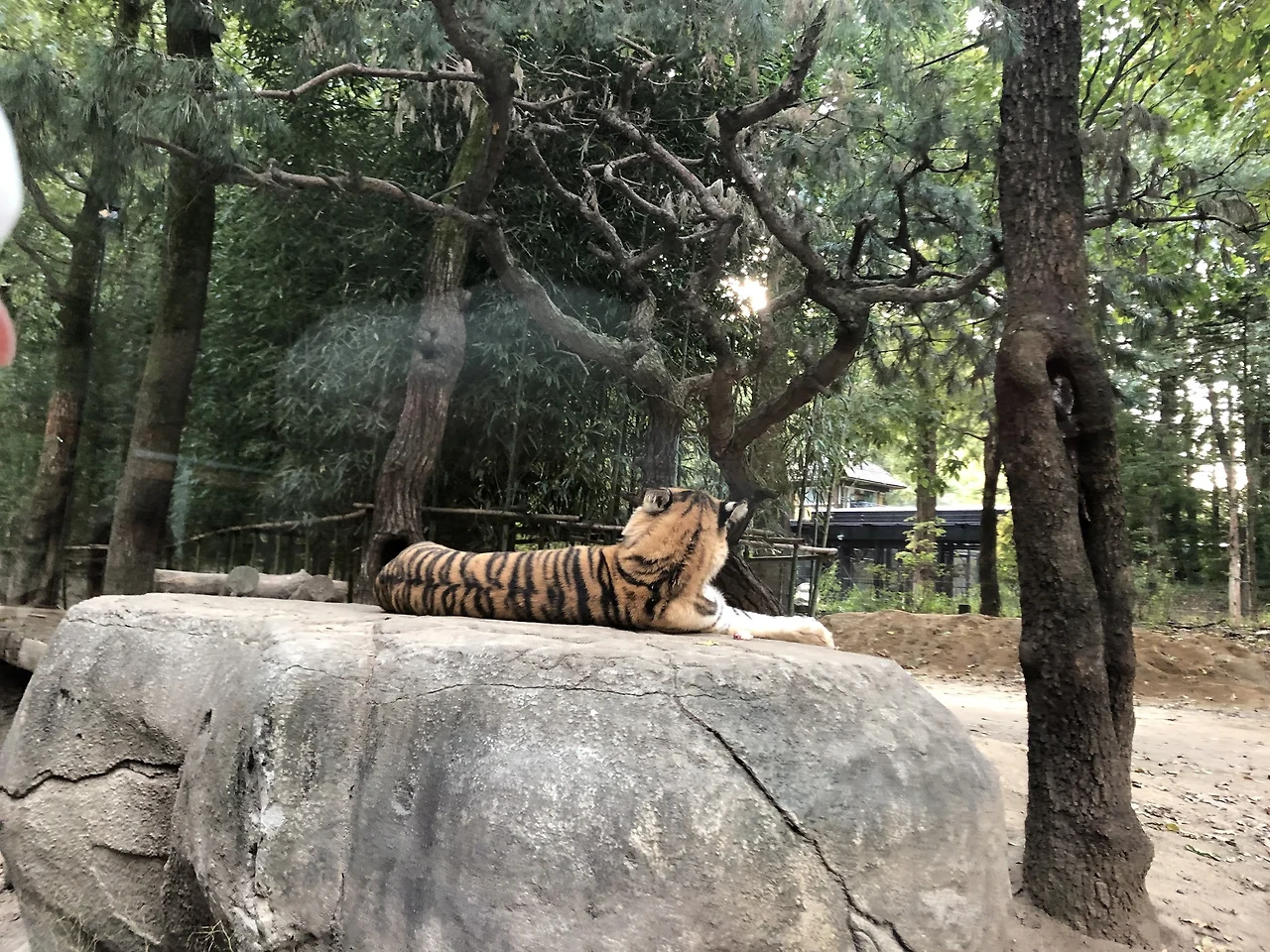 1a3BkJ2mDrYKMGqGjtsilDTqThzUBm82ljtIHm9oSyog0pAEFRWi5QDrHrMezLmBFNocNzsWeQPEB3eNwjovFaviyMqbNWgs2vSlHblyS05j7SqVlfcCyKUzB1h8nfTmb0z-U-IodbcGN_DcVdUBq5ZrSHg-zO8XjknfKO_GM5HsRR_dRUFE4jmpqP1phq4gWpIVLdakTLrcx5hhg80V9EjQPkIdsLj9gVfsGe1OZLQhAcmnSrUyALtH7cr-biolCbcODZDRsXxqRdIiqknN0AUg18JZkRxshSllt22jM76hpX7_KJovdzaU3ZyCKbPLtImur_h9WCq9ZvCKOYAQKnk74yXln_vDNR40H2HYRTlejpwebxDc4bwxabjZMQKi_qEPRKA_O_Ei4hTqdWSDoJtC268YZPsRkJhTgKzVE6r4lMQLiR3rUZamVP0MjU4QElJ7GqlQPnFYdqJ0Q08bfBTTmjijwr6pjvULuiAV-nk0045Zl-S6S-Bj9x3PmnQX3mbDyet5noSi9iycPy3HfWBS4bkcvzpo7p1DiEIfshflyfQoWJ9PEL4k4_9sK9rkyDqUjp8IVL3z3mltus5-suxxOcdgqcbzOwoK6uMDB0Azl1dAWv_pwcxnncv1ojwn-LLHvsoIgRe_zgrb2h6gHmj0z4l7pBsmcppoIhZXYGKa9MueNdL1KotYZh4IIqoD0lQIYNWoNfyfv7LjNkg7LwF3=w2516-h1888-no?authuser=0