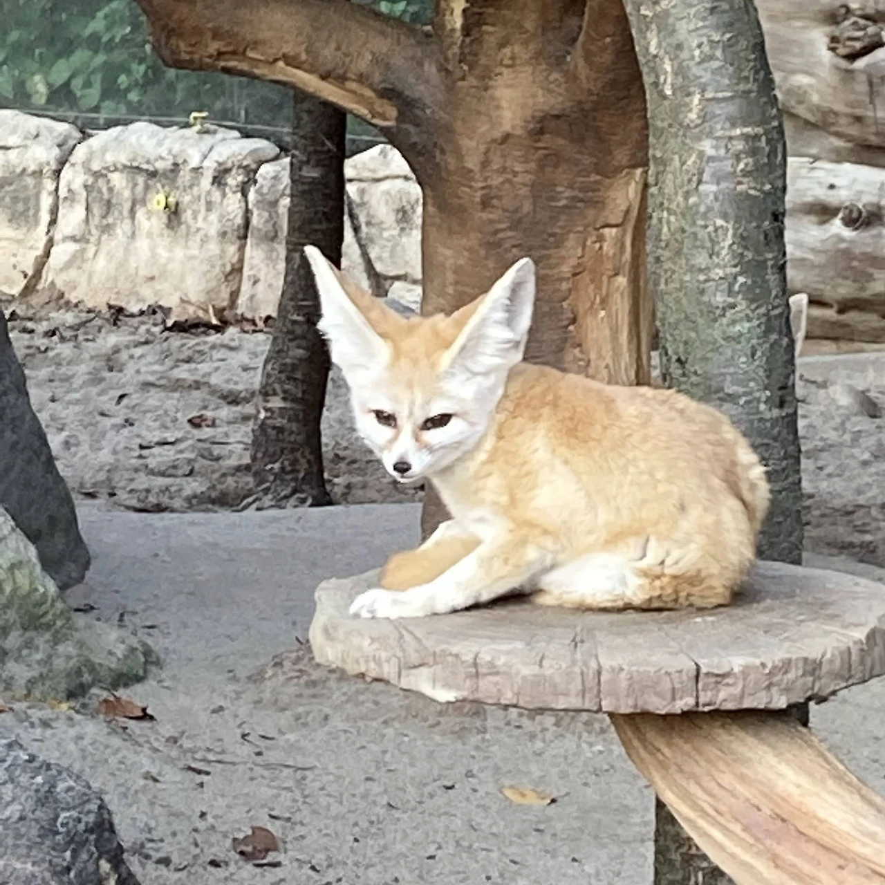 gqKIiAtZ_cH4jRzrHeuSiqRTTF4qAYjIxGNuhQTwyMToAo2dAyocc9N5HZgyyIkWayBGKJiVKycW9XJ8kpDZh_NGJ7-GOIXtvUjajGvjKmIuml67i8foVqamUt41WfGeaZHWNXzW8atSB2zMnF3e5U4haDP8tdC0_u8pOyF9NsCN4NlcwzEP6waTFtU4qCbN7nUZMmyFqONKzZ8Ba0ymsxCvEhgekyOswoaFFJF-2yanwjLTAPSe5mWD2ugQ6gxpsr5TRtunz56LmecRjSR6_RsTlm_w3TmV5Hx_k5UCdm8ae187ALKFLj68YJzuTHbgOYDR9qE01U0qk0GeGMPzLWhSpEyTPHLp9oRMDHMvW-xdHuzVMgJr1tZvO96065KRBSkjOxnwRqEL-4C0oL_ySIO5ij44QDfhQEkSl8AI2Wp4a-O0QB2YH1XxgJo5DZFrzMp0H6BPrOhY366igO_Yyu2T5-jhgcTU49bgvqteAUoPL1CjqU5eUogXb8ZK6vHdNuH2It2HUorlKa-JxcPnrgmdX6zu82ap_gW0EE0_7lTK7nf9DOMP1V7nOFre7KosRlVfFdL_3zPgtyWm4jZCxQ-fK8DhDUlvIZcsphTMLTLvqZlWaAPGH5GDlse2BPrg1m2Y7QnFGnFik_12jc9-rpzfXo2zUf-HFu339-FYr64-MadsELQSrUcFWEw6BCuh7zrk8obYRvzx9EHmaoIWfPb7=s1888-no?authuser=0