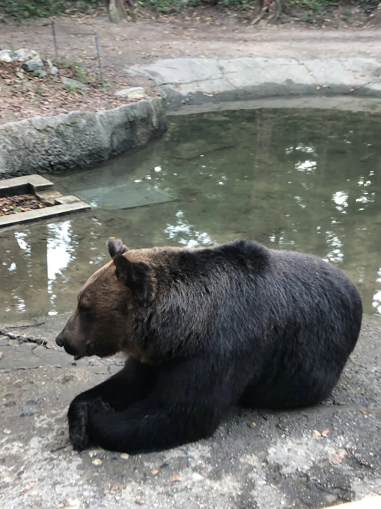 ZkqhI5TnWpBA7qdpwbMr0J-K2qm3z_MX7hEHj16UrbD_AHITwCXVpvoM61slvoGr6h0PcKwAVTlEfifoFi5j7XKeXuxWivYzy9bKHBUnLl59tUYzYiKxnMjDjUkW9DuAceeDi2oC2xnrQLaQtTi5-YYVnnnNTu6Ce3Wqz_VYFZr3nPUcF2a3GdIAJ7k2g3ym93YRkB88R7QGmsJ9G_RhysB0UurFrPr3_JsDM11LrJjf78vO946xfaP8eENdE7-LADMIhdXOr0BXX5-61tIgHOV5acIzSWui5teZTUiITzj1Ny-Yf3xLm1baKOdaBQAo8AxHTAt2qcKnsHG7OpvL0kTwe7F7VRvhmA_-nWf8ZH_cU2cWk88wIOpGp1OMKbmyCKMBBNbDRcsIQAWOiR14jVJmxDWMnOgtYvqp0nIzJ4iVvSbTcCMO3_tBtp2fLb9d1GC0NK7ogyuqW1qPNbgeXZSrU7l9w-69AacyvSnosN0g19y7px6H-7F_aVOxz0X5d79hv58foncMp-gBz_Thupm7wVXjCz15V04e1zZ6Z65aMBaiNSRt7-P1LHD9jJXjecZz3JKaWXvUhKZKcpGLBxPGnrACs6KY0Sv4PuluXdkkvcIKTGjeTeu_dOVrzL3QPwAABj_c5MfCnLjX1w9pCOPWpFzdti_mBTArJXcfWhDlI_nE00u4iiOuUpuIGVGTVv_oH9eR6OgZzXpk6u9oud-h=w1416-h1886-no?authuser=0