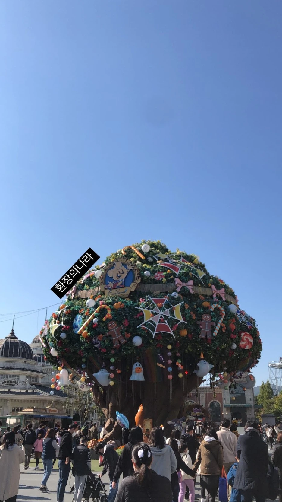 F803E6A6-D67B-4667-A7F7-90D05274BC7D.jpg?type=w1