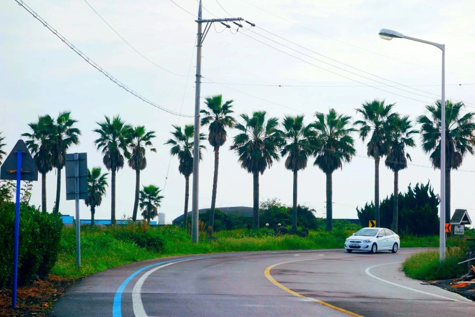 image_5988570491474527916203.jpg?type=w966