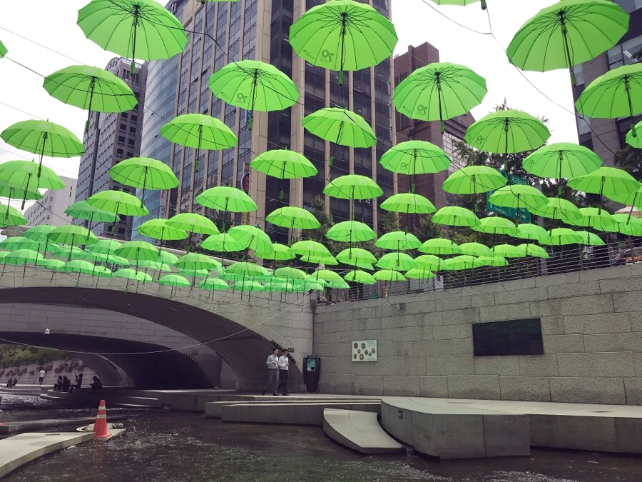 image_6820887331538446824685.jpg?type=w966