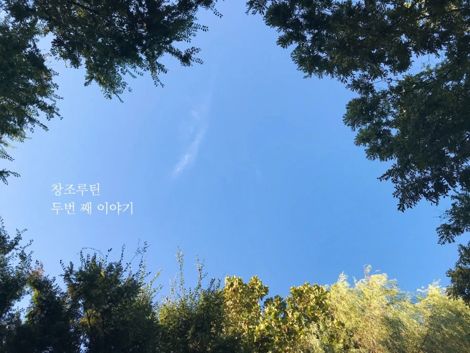 image_7113584301538446937445.jpg?type=w966