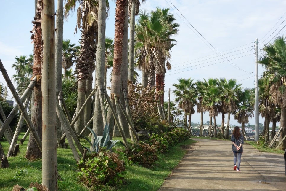 DSC07940.JPG?type=w966