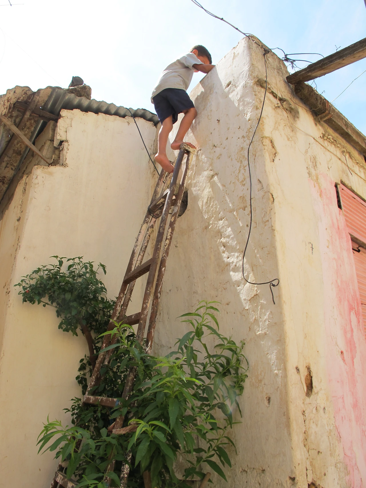 [4-22] 앞장서서 옥상 사다리를 올라가는 주인집 아들.JPG