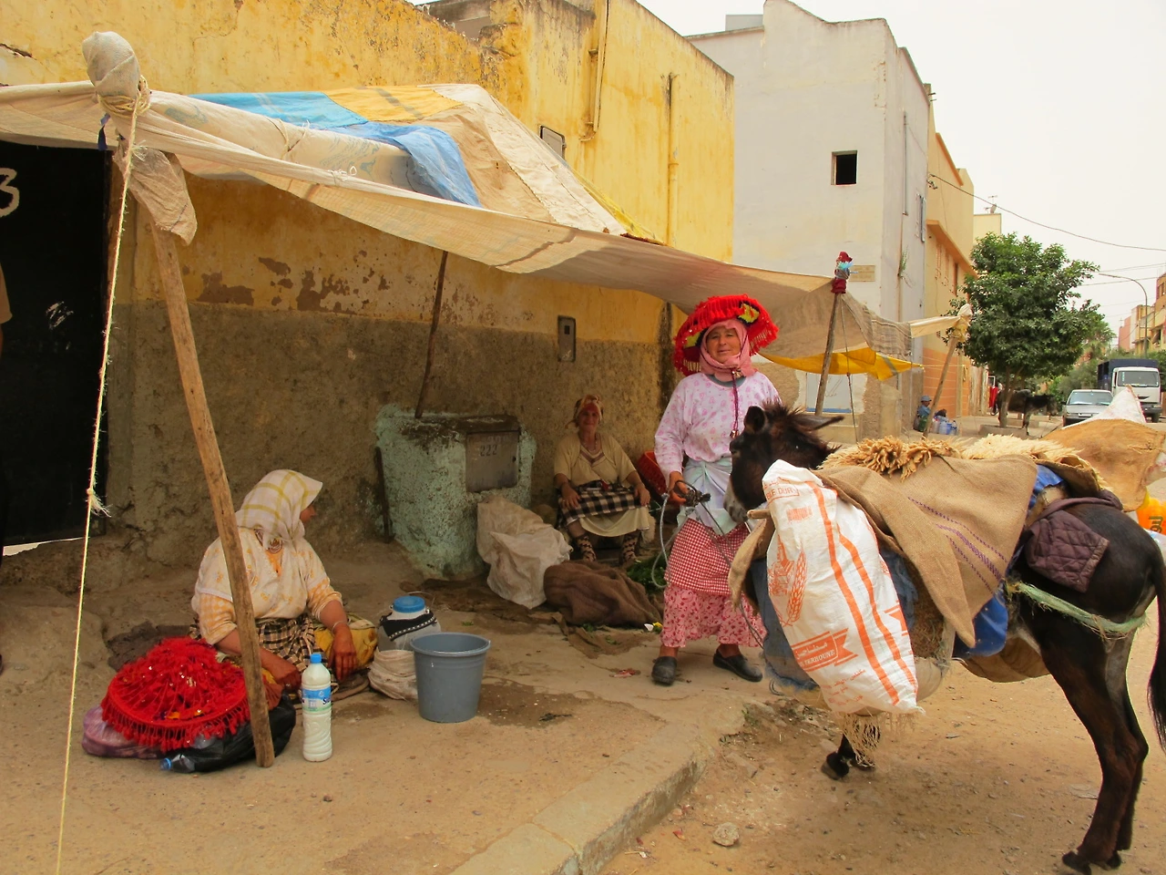 [2-55] 아침마다 당나귀타고 나와 야채를 파시는 할머니들 1.JPG