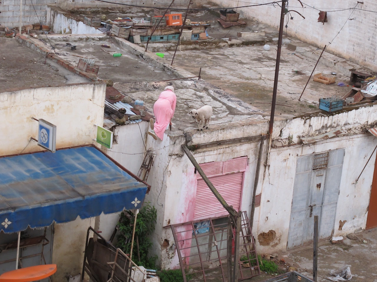 [4-20] 새벽녘 양순이 밥을 주러 가시는 주인아주머니.JPG