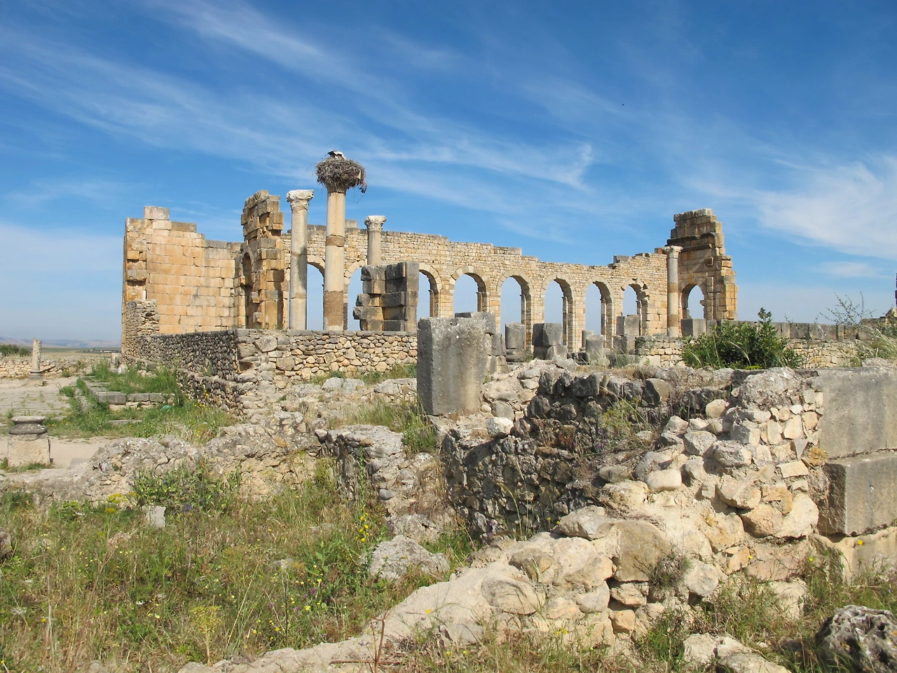 [5-56] 볼루빌리스(Volubilis).JPG