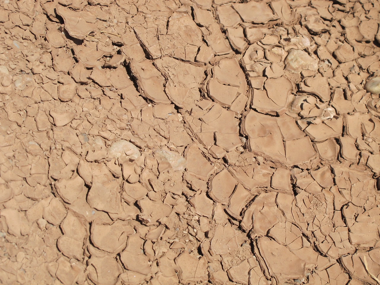 [5-78] 무더위에 바짝 말라버린 강(8월).JPG