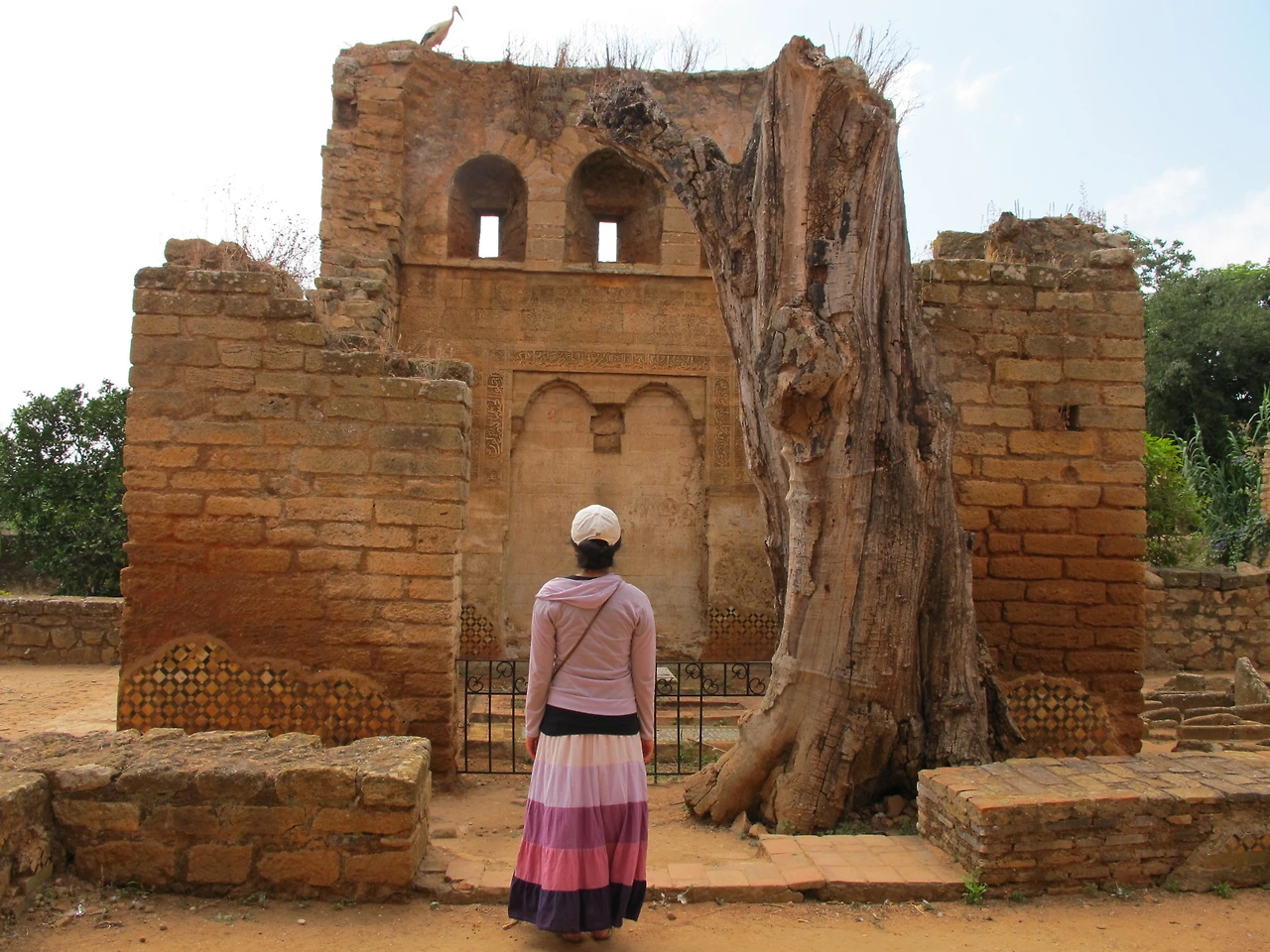 [5-110] 모로코의 풍경 2 - 고대 로마 유적지 쉘라(Chella)에서.JPG