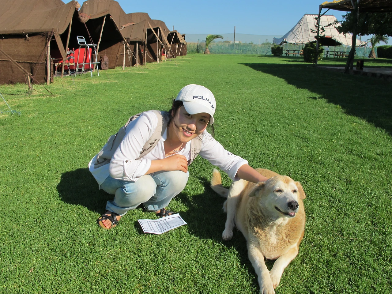 [4-1] 뚱뚱보 강아지 ‘가디’와 함께 잔디밭에서.JPG