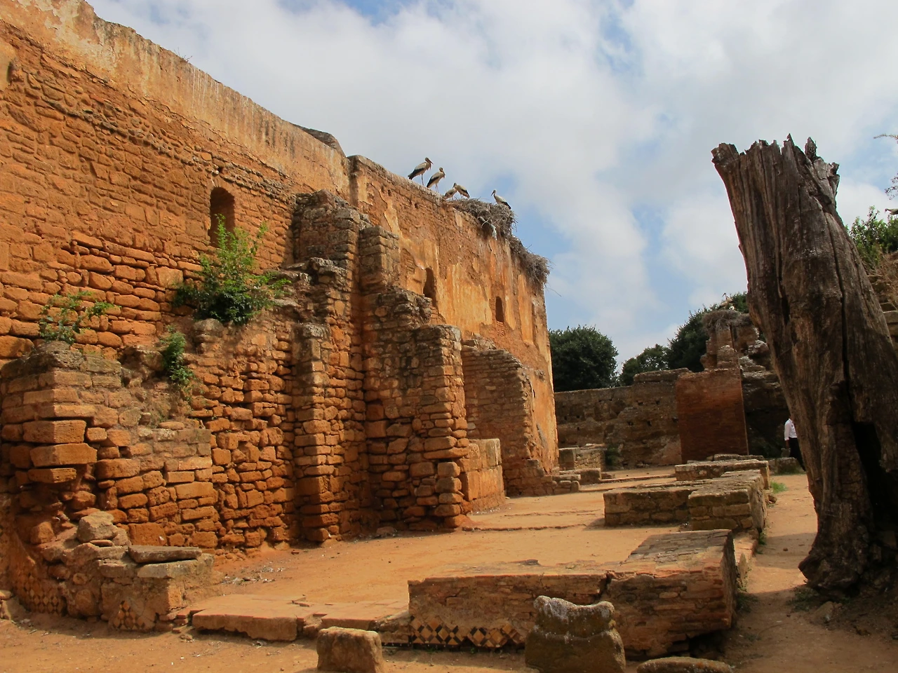 [2-7] 모로코의 로마 유적지 쉘라(Chella) 3.JPG