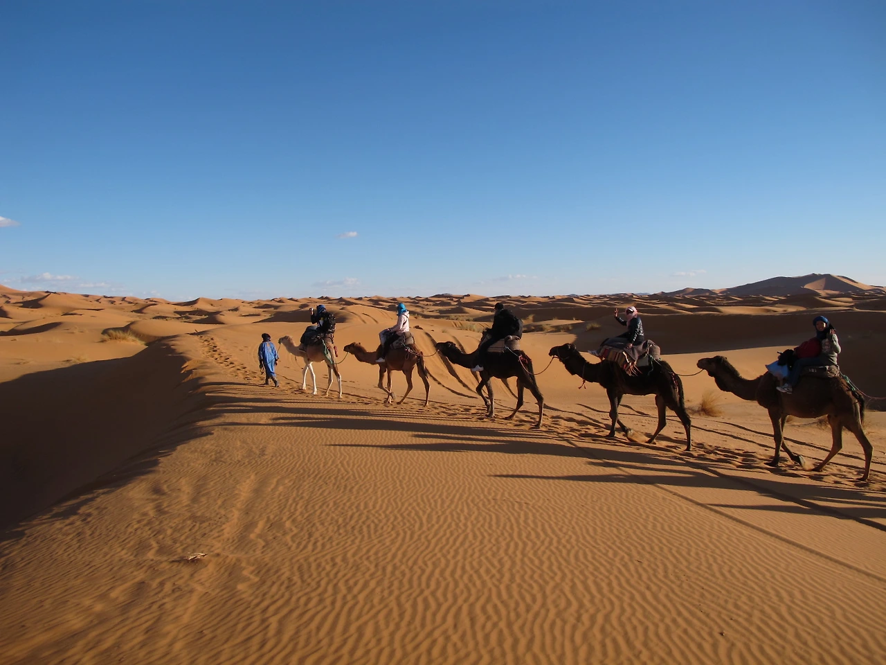 [5-96] 줄맞춰 낙타를 타고 사하라 사막 속으로 들어가다..JPG